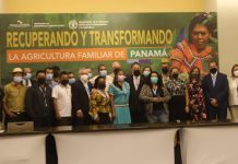 Nueva política de agricultura familiar: recuperación con transformación en el rural panameño