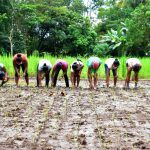 gobiernito y planes sociales (11)