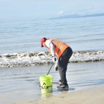 limpieza de playa de veracruz (2)