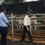 nito y el gobiernito (6)