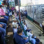 gobiernito en chiriqui y banco nacionañ (19)