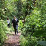 volcan baru (4)