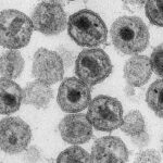 Corona virus 2022 (5)