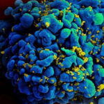 Corona virus 2022 (6)