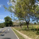 carretera en david (3)