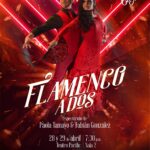 flamenco (1)