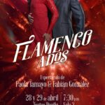 flamenco (2)