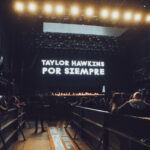 taylor pinki stereo (1)
