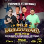 concierto y publicidad 2022 (4)