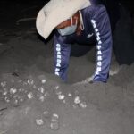 Chiricanos buscan preservar más de mil huevos de tortuga (1)