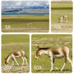 camara de huawey (1)