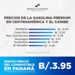 Gobiernito y las medidas (6)