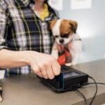 Mascotas en América Latina y el Caribe aumentaron un 30% en un año, según datos de Visa
