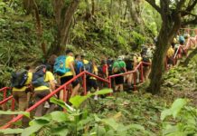 Panamá sede de la Ruta Inti o Camino del Sol