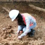 cobrepanama_362332123_713831060582545_1653871428684711081_n