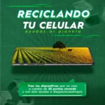 digiclee
