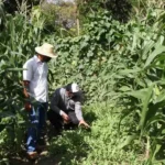 cobrepanama_363898241_827731668664505_2867187987686338615_n