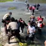 migracion