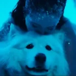 Hielo copia