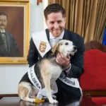 mayer alcalde 2024 (1)