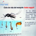 noticias nacuionales 2024 (2)