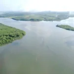 NUEVO PUERTO ENTRE MANGLARES (1)