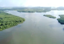 Organizaciones ambientales piden a la Corte Suprema de Justicia que declare ilegal la aprobación del Estudio de Impacto Ambiental del polémico Puerto Barú