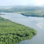 NUEVO PUERTO ENTRE MANGLARES (2)