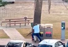 «Terror en Sidney»