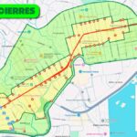 desfile de navidad (3)